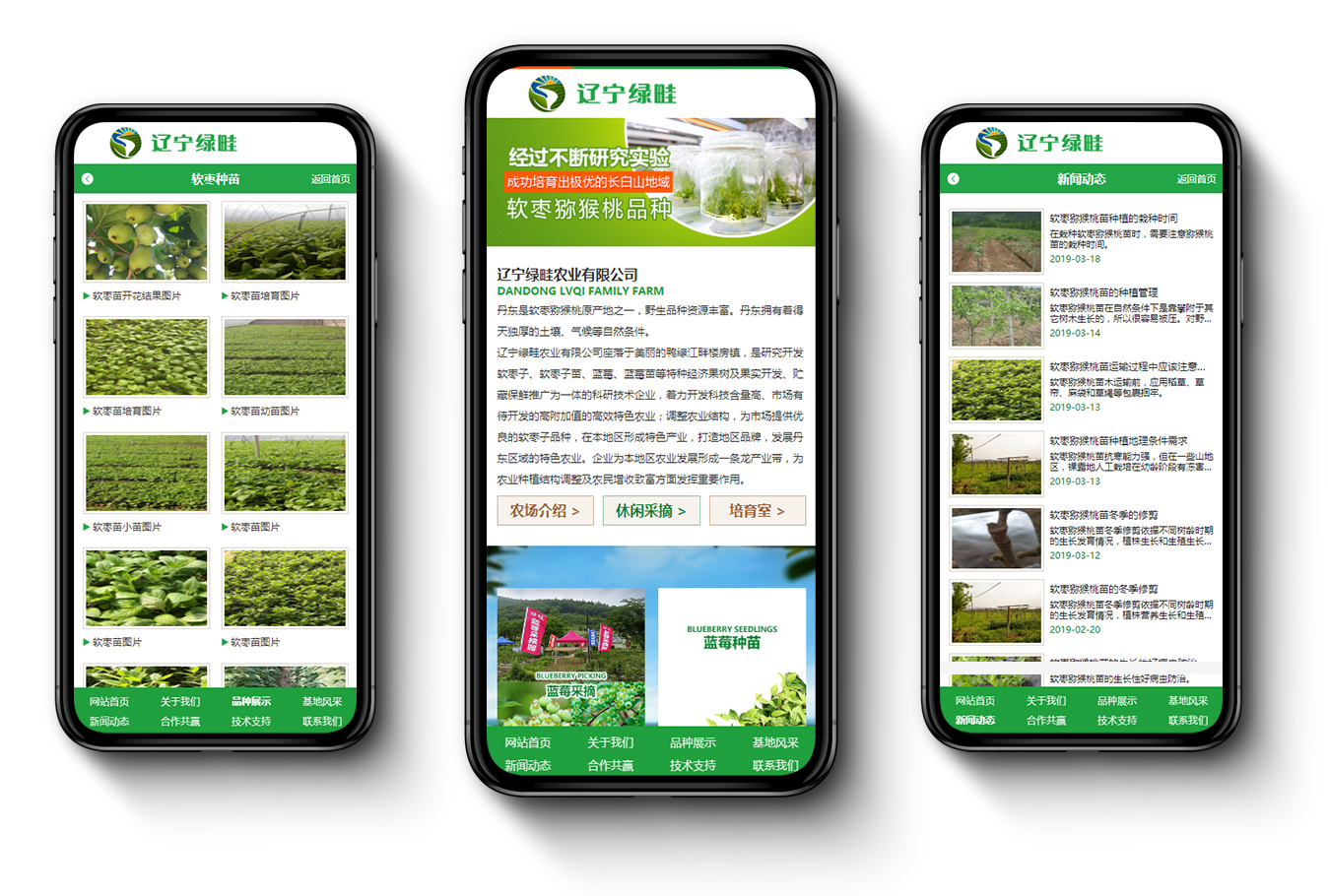 內(nèi)容手機圖.jpg 內(nèi)容手機圖.jpg